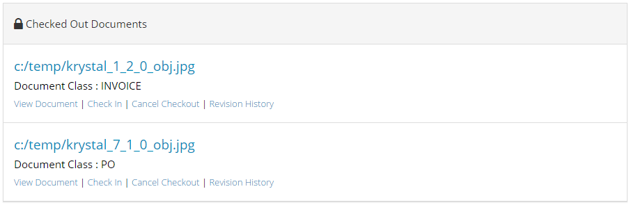 Checked Out Document List
