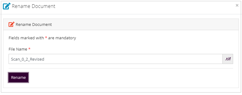 Rename Document Rename Document